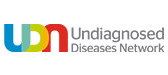 UDN Collaboration Logo